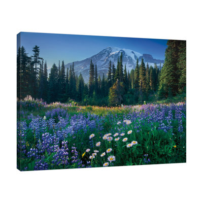 «Mount Rainier», toile tendue par Alan Majchrowicz