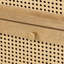 Anisjon & Rattan 2 Drawer Bedside Table-1317511962