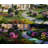 Lumary 6-Pack Smart RGBAICW Landscape Lights Pro, Color Changing Landscape Spotlights IP65 Waterproof, Low Voltage Outdoor Lights for Garden Yard and Pathway, APP/Remote/Voice Control