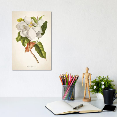 Magnolia Botanical Print I - Wrapped Canvas Painting