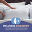 Paquet de 2 coussins en duvet Continental Bedding-94408329
