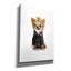 Toile épique Graffiti «Dog Bully» par John Hovenstine, 40 po x 54 po