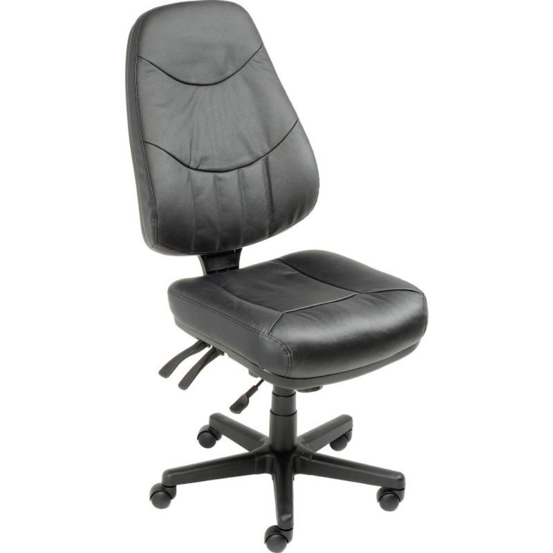 Chaise multifonctionnelle à haut dossier Interion, cuir, noir