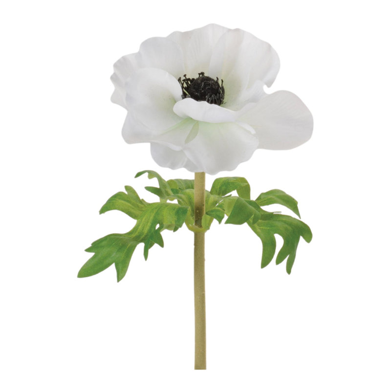 Anémone florale (ensemble de 6), Blanc, vert