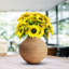Arrangement de tournesol