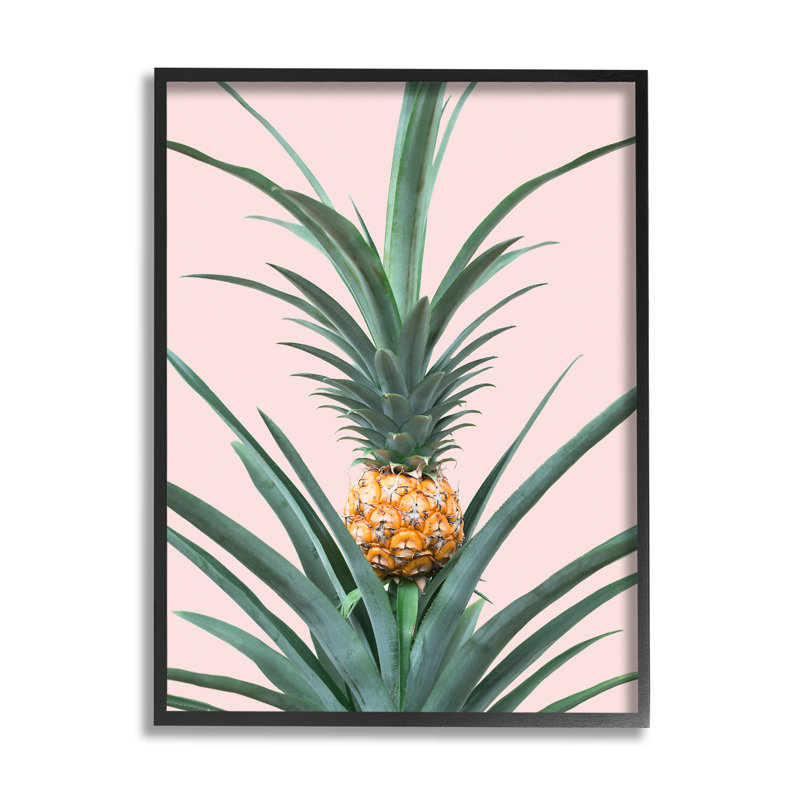 Ananas sur rose par Sissi et Seb, Giclée encadrée noir minuit, H 30 po x l 24 po x P 1,5 po