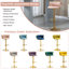 Christal Height Adjustable Swivel Bar Stool-377126499-377126491