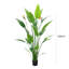 160cm Plant