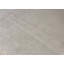 Area Rug in Ivory
