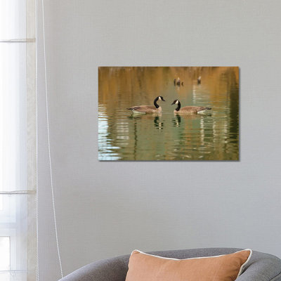 In Love by Louis Ruth - Wrapped Canvas Print