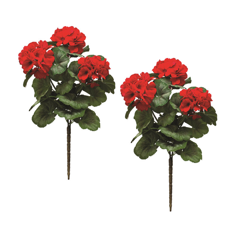 Polyester géranium buisson