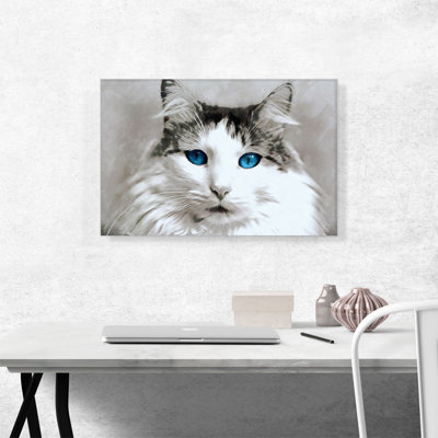 " Ragdoll Cat Breed Blue Eyes "
