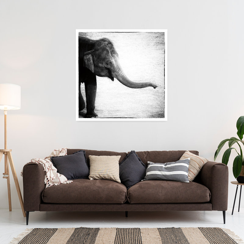 Éléphant II, art contemporain éléphant, H 36 po x l 36 po