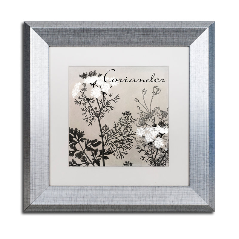 «Flowering Herbs IV» par Jadaya, impression encadrée, H 11 po x l 14 po x P 0,5 po, Blanc, Toile avec cadre argenté