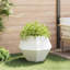 Planter 2 Pcs Steel-55003603-55003631