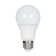 60 Watt Equivalent A19 E26/Medium (Standard) LED Bulb