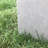 Planter-233710364-233710355