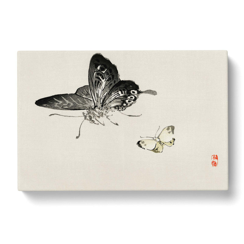 Butterflies by Kono Baireir - Wrapped Canvas Painting, 35cm H x 50cm W x 3cm D