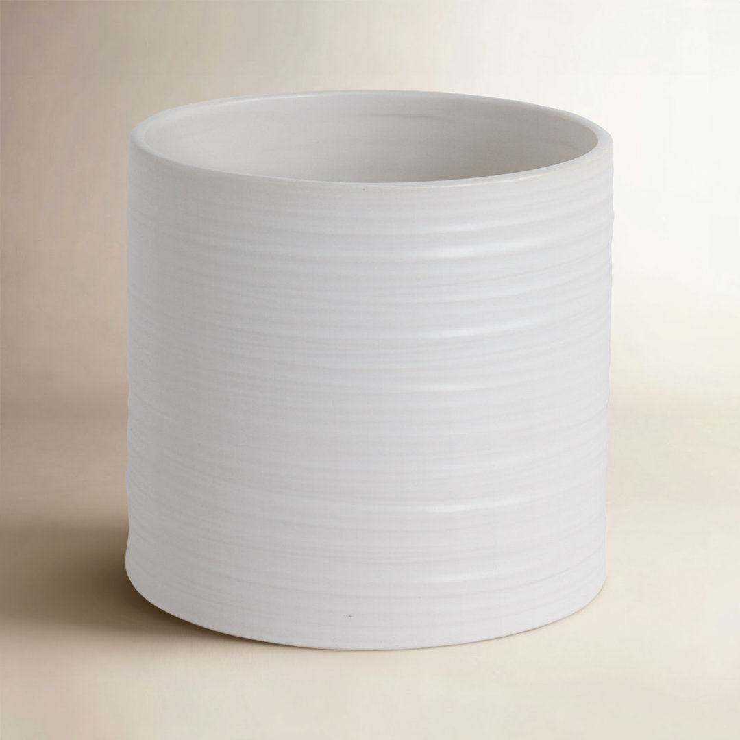 Canella Handmade Ceramic Pot Planter Birch Lane™