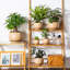Ceramic Pot Planter-534234029-534234028