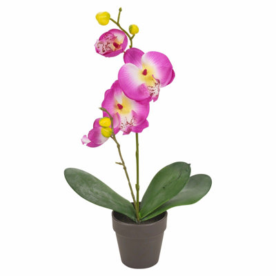 38cm Flowering Plant in Pot