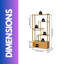 Engel 176cm H x 85.5cm W Bamboo / Rattan Bookcase