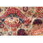Aryana Wool Oriental Area Rug