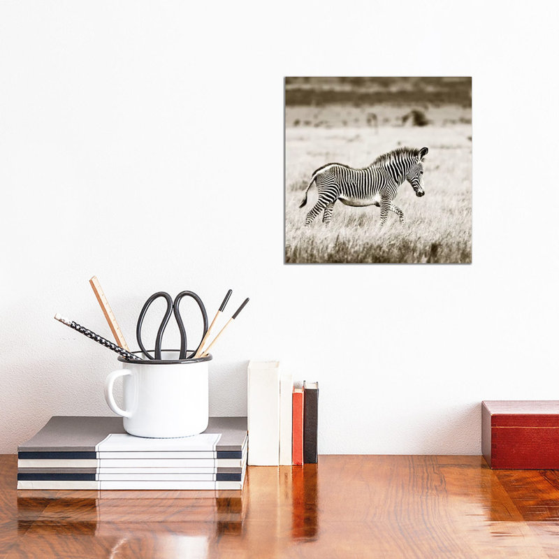 Innocent Zebra by Klaus Tiedge - Wrapped Canvas Print, 30.48 cm H x 30.48 cm W