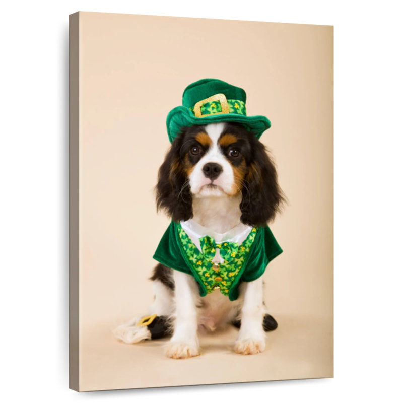 Chien en costume de lutin, H 24 po x l 16 po