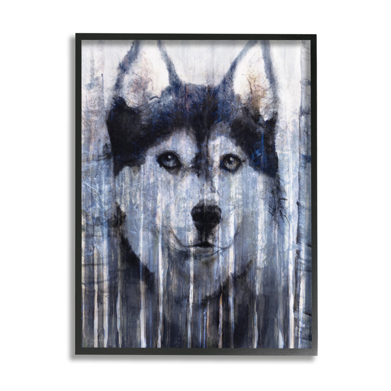 «Sourire Husky Dog» par Kamdon Kreations, impression de cadre flottant sur toile, Giclée encadrée noir minuit