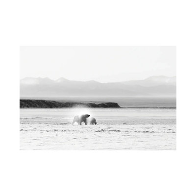 Shake 1 Piece Wrapped Canvas Wall Art