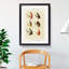 Lake Fishing Flies Version 8 by Mary Orvis Marbury - Picture Frame Painting Print-55765234-55765241