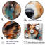 «Shetland Sheepdog Portrait III», reproduction sur toile-1817036721-1817036724