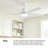 Hinkley Vail LED Ceiling Fan-108493501-108493498