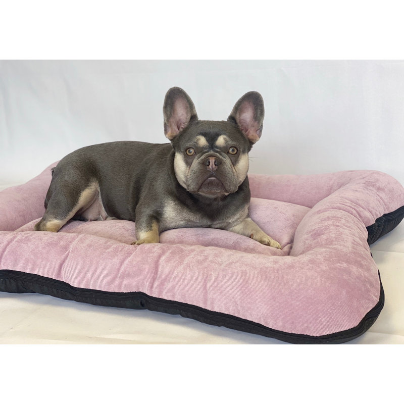 Vera Polyester Pet Bed, 50cm H x 35cm W x 8cm D, Dusky Pink