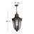 Trafalgar 3 -Bulb 24.75" H Outdoor Hanging Lantern-326977298-326977303-326977302
