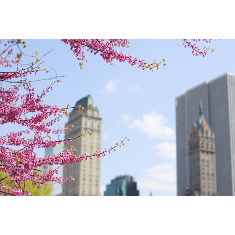 Spring comes to new york city, 30cm H x 46cm W