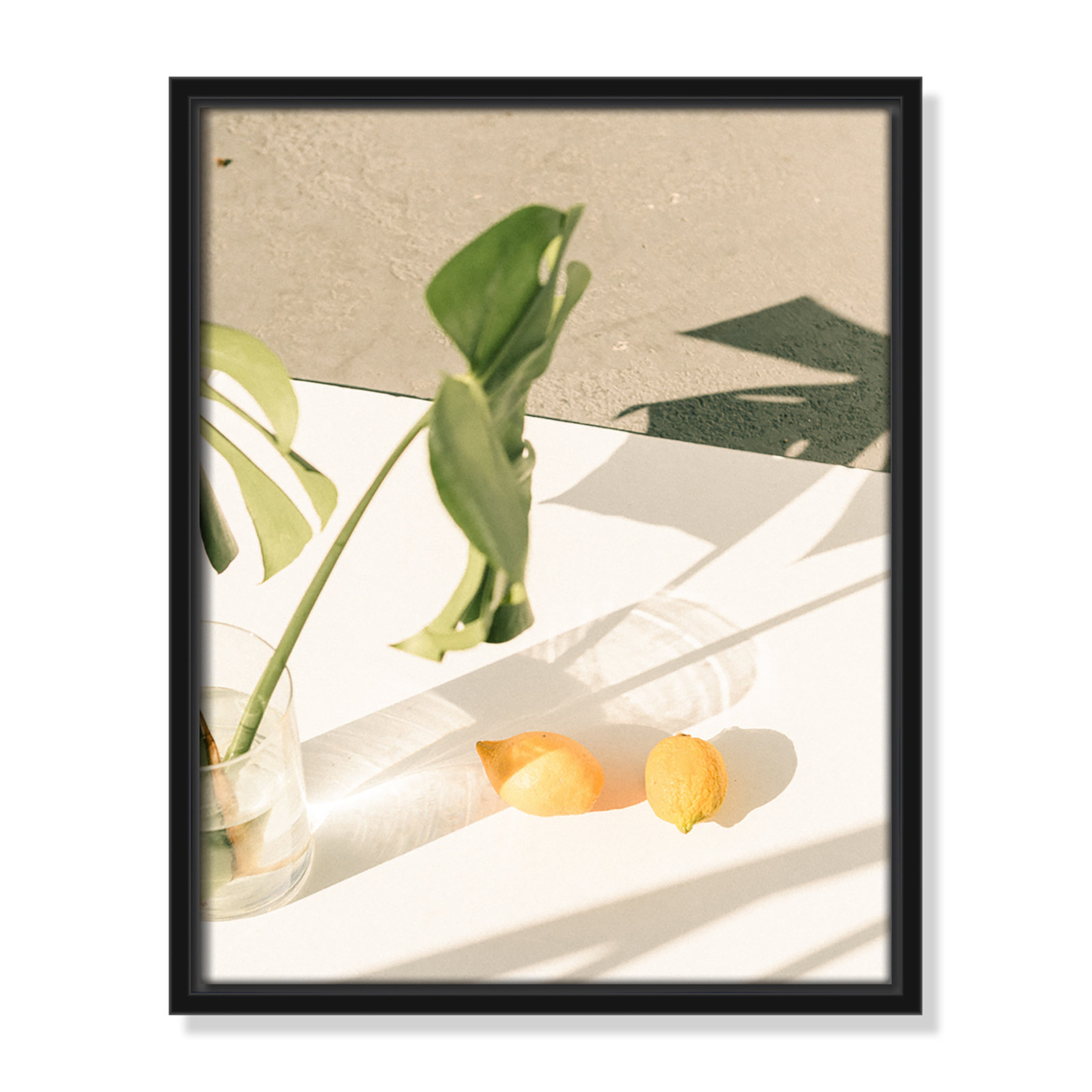 Citrus and Palms Print, 15.5'' H x 12.5'' W x 2'' D, Black Framed