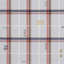 Schumacher x A Rum Fellow Fable Fabric