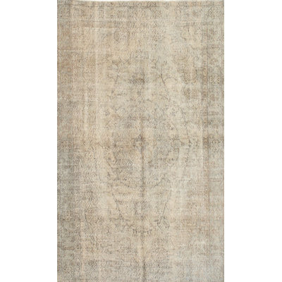Oriental Indoor Rug