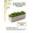 5'' Faux Succulent Plant in Stone Planter