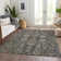 Myda Washable Oriental Indoor / Outdoor Rug 