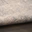 Tapis taupe Nourison Botanical Washables 5 pi x 7 pi-968922857-969902148