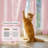  Non-See-Through Privacy Sheer Curtains 2 Panels, 52" Wide Grommet Window Curtains Drapes for Living Room Bedroom- Home Decoration Light Filtering Elegant Window Drapes-2128854459-2131170503