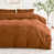 Terracotta Orange