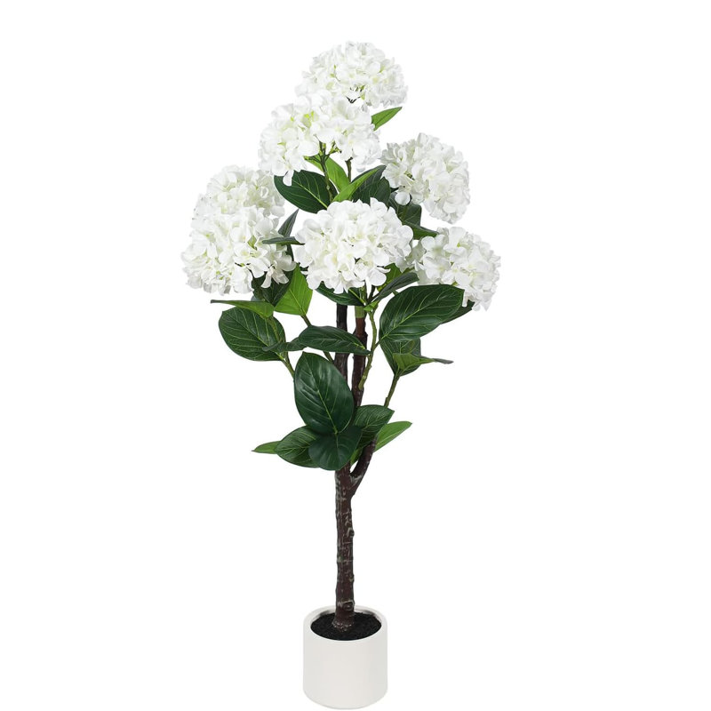 121.92cm Plant