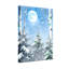 Animals Winter Moonlight Forest Snowflakes Trees Birch-2010055562