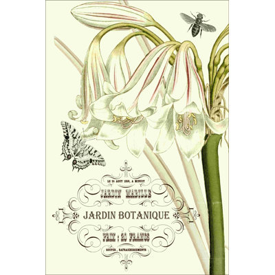 Jardin botanique I