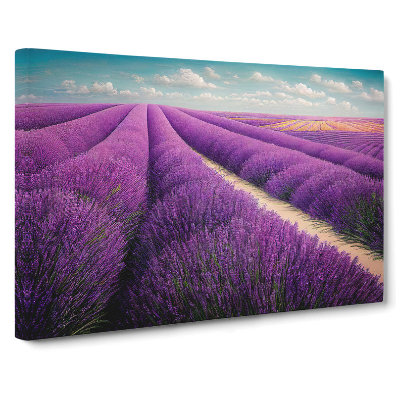 Exhilarating Lavender Flower Field - Wrapped Canvas Print, 35cm H x 50cm W x 3cm D