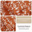  Marilla 3 Piece Terracotta  Floral Comforter Set-110315626-110315624